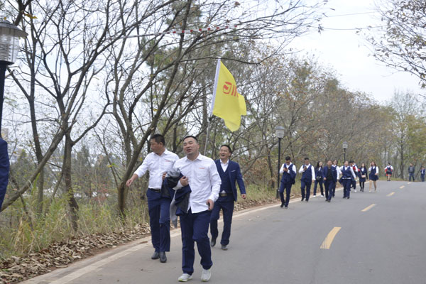 陽光行、快樂游